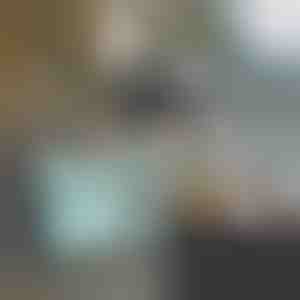 Višenamenska kolica | CARRYMAX