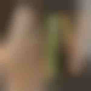 Ferro za uvijanje i ispravljanje kose TWISTLINE