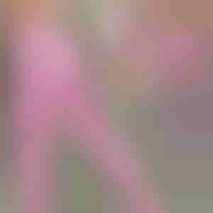 Izuzetno udobne helanke | SPRINTLEGS