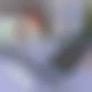 Štitnik za sunce za auto i prozor | SUNGUARD