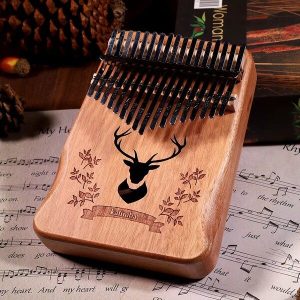 Afrički muzički instrument | MELODIKO