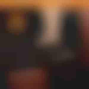 Nepromočiva navlaka za zadnje sedište automobila za pse | CARIPET